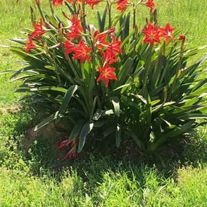 Meet your Posher, Anita